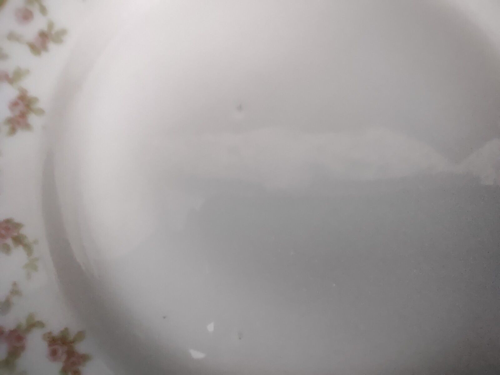 Haviland Limoges Schleiger 346 Red Rose 2 x Bread Butter Plate 6-1/4" (lot 546)