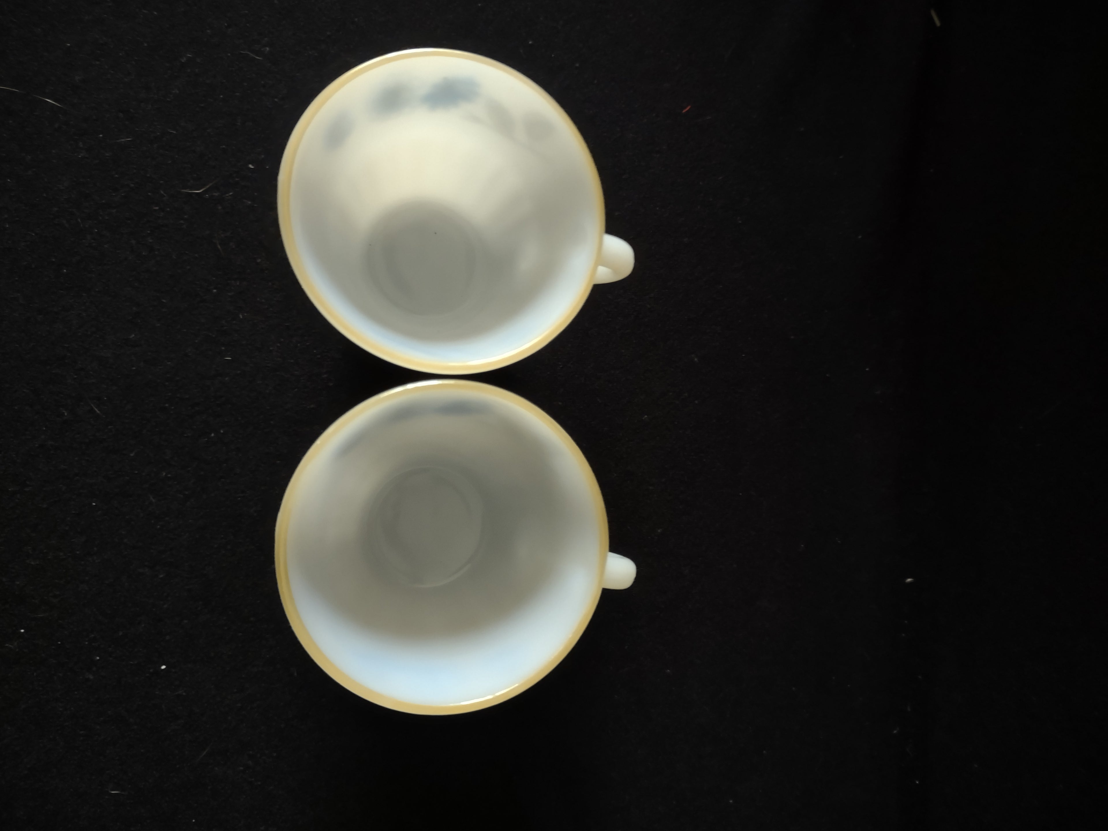 Vintage Termocrisa Coffee Tea Cup x 2 Blue Flower Milk Glass Gold Trim (Lot 5119