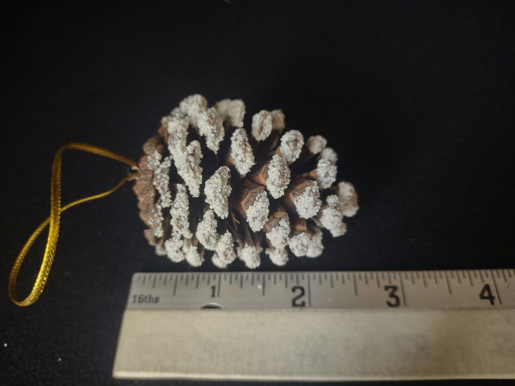 Lot of 12 Pine Cones Christmas Tree Ornament (lot 1683)