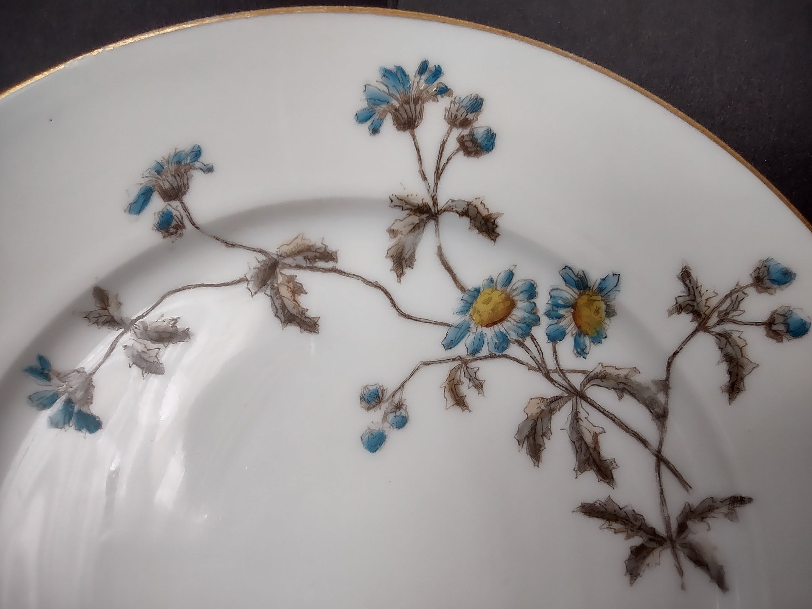 CFH GDA Haviland Limoges Luncheon/Salad Plate Blue Daisy Rustic Cottage (lot 982