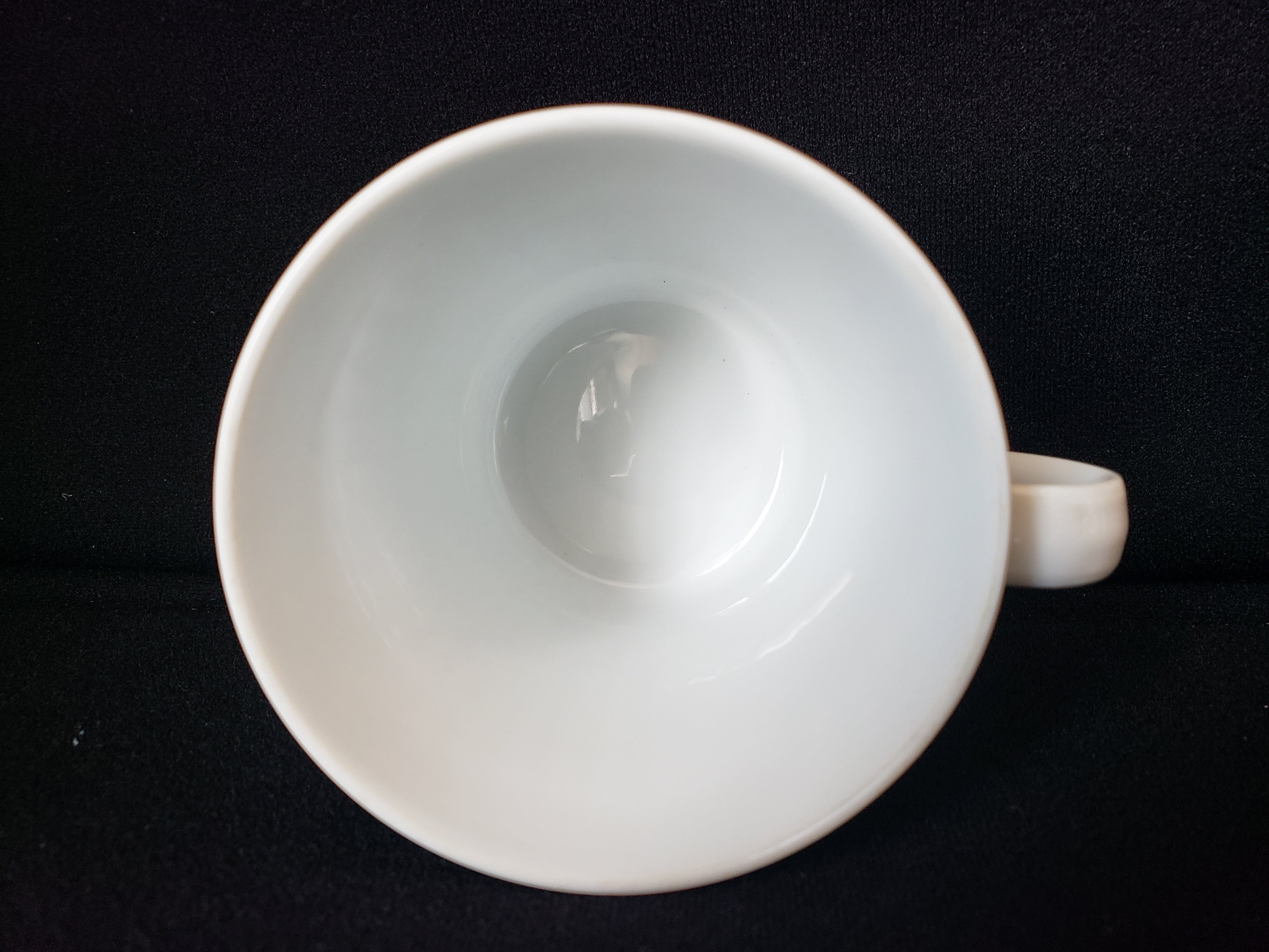 Vintage Royal Worcester Shelton Orchard Tea Cup ONLY (lot 2059)