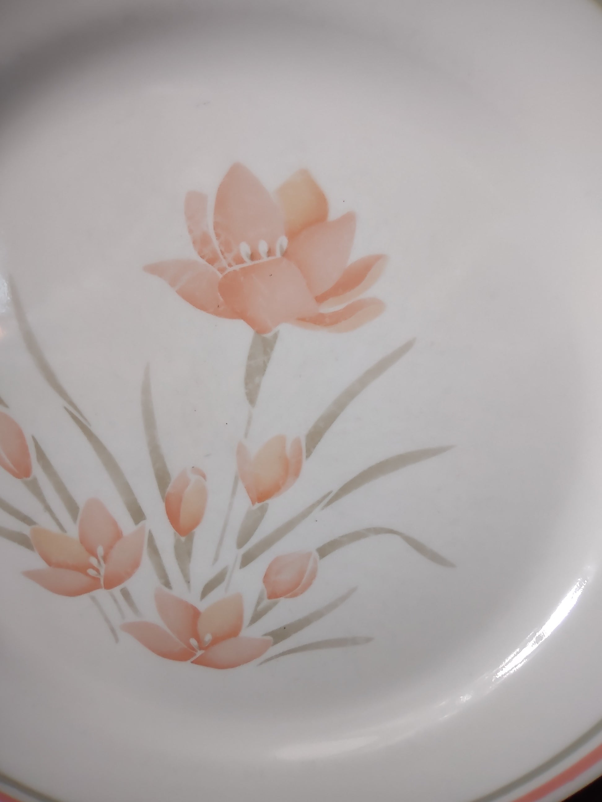 Corelle Peach Floral Dinner 10" Plate x 4 Some Scratches (lot 2964c)