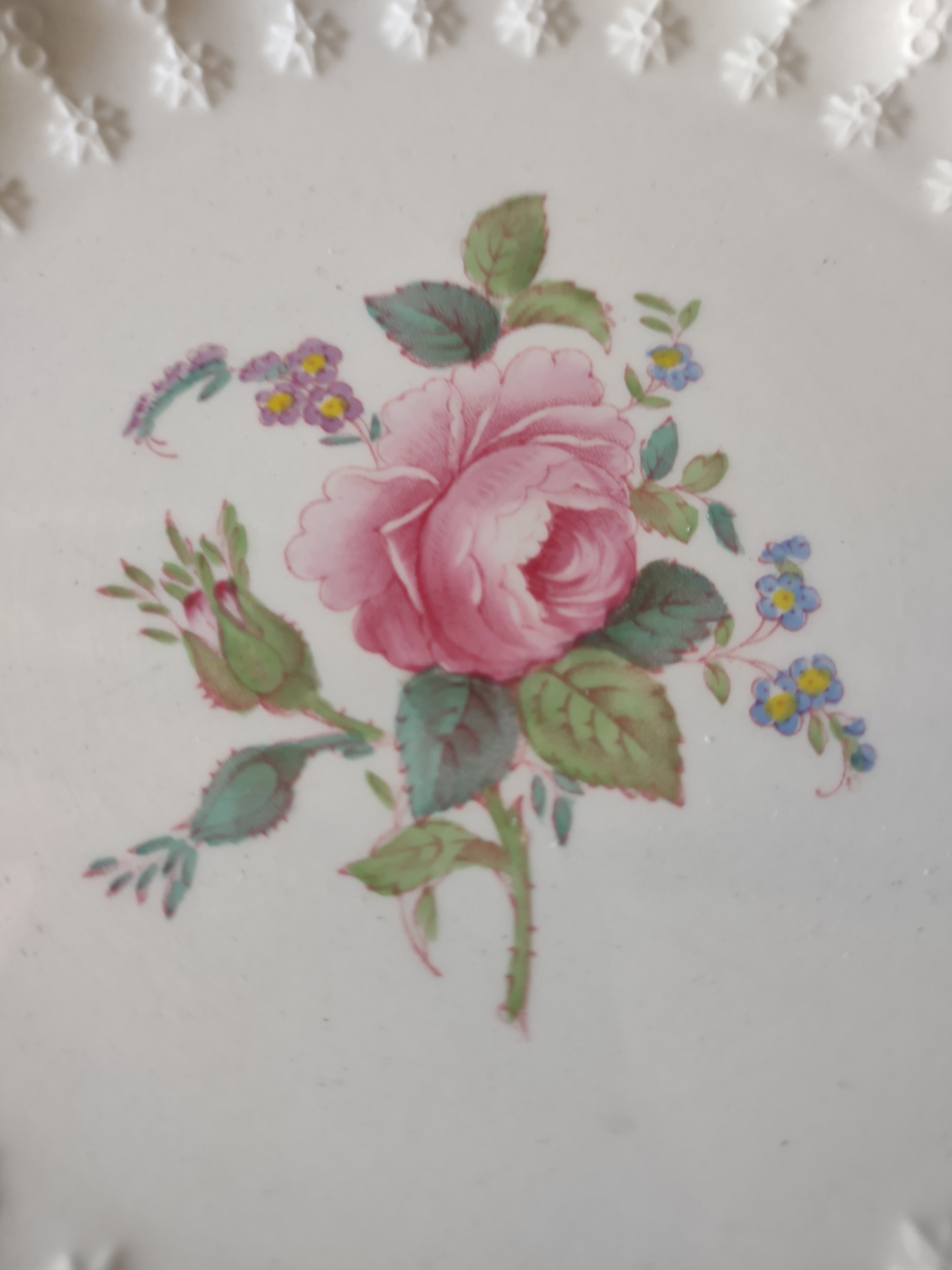 Vintage Spode Countryside Jewel Billingsley Rose Dessert Plate Ironstone(lot5785