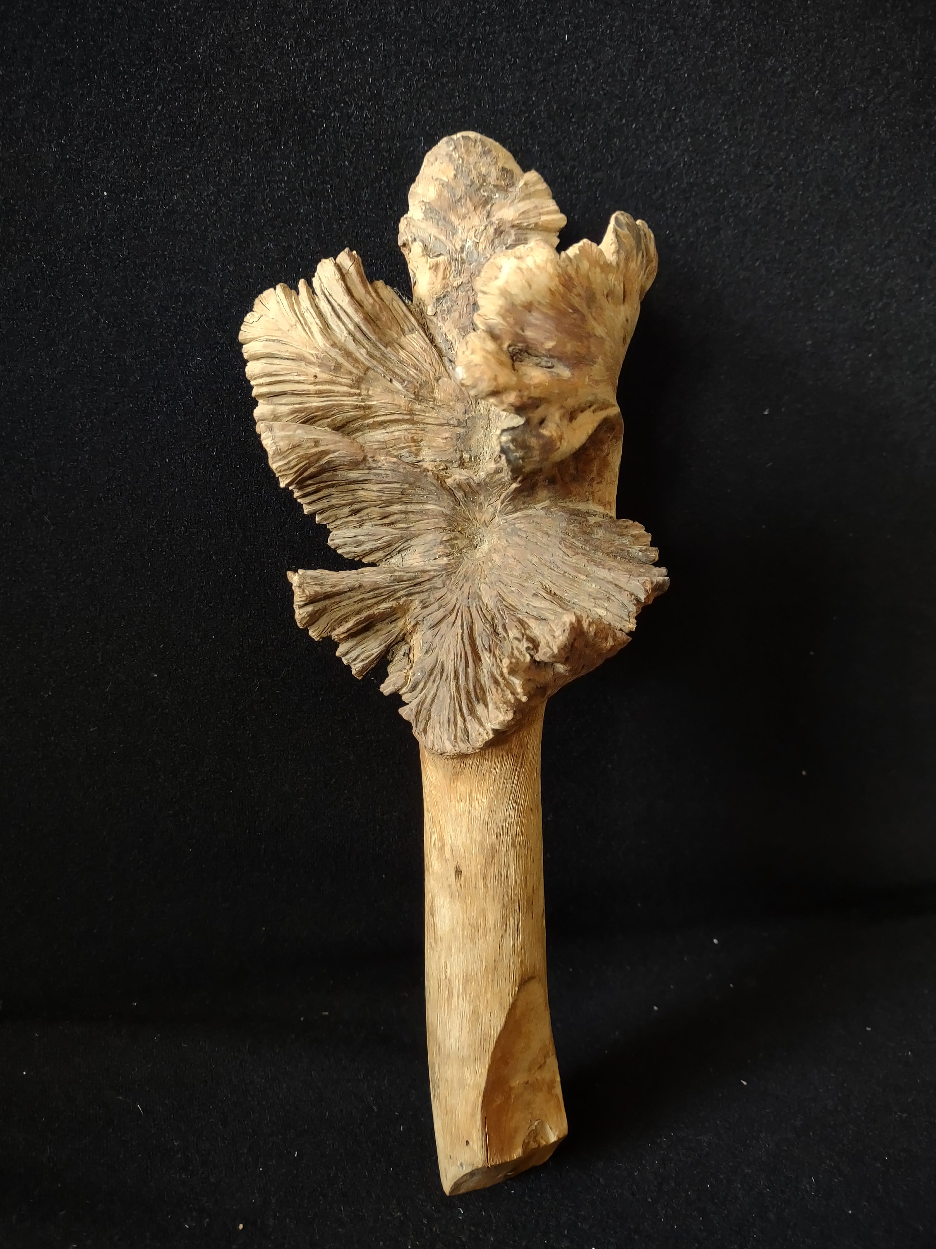 Craft Driftwood about 11" Long (lot 5383)
