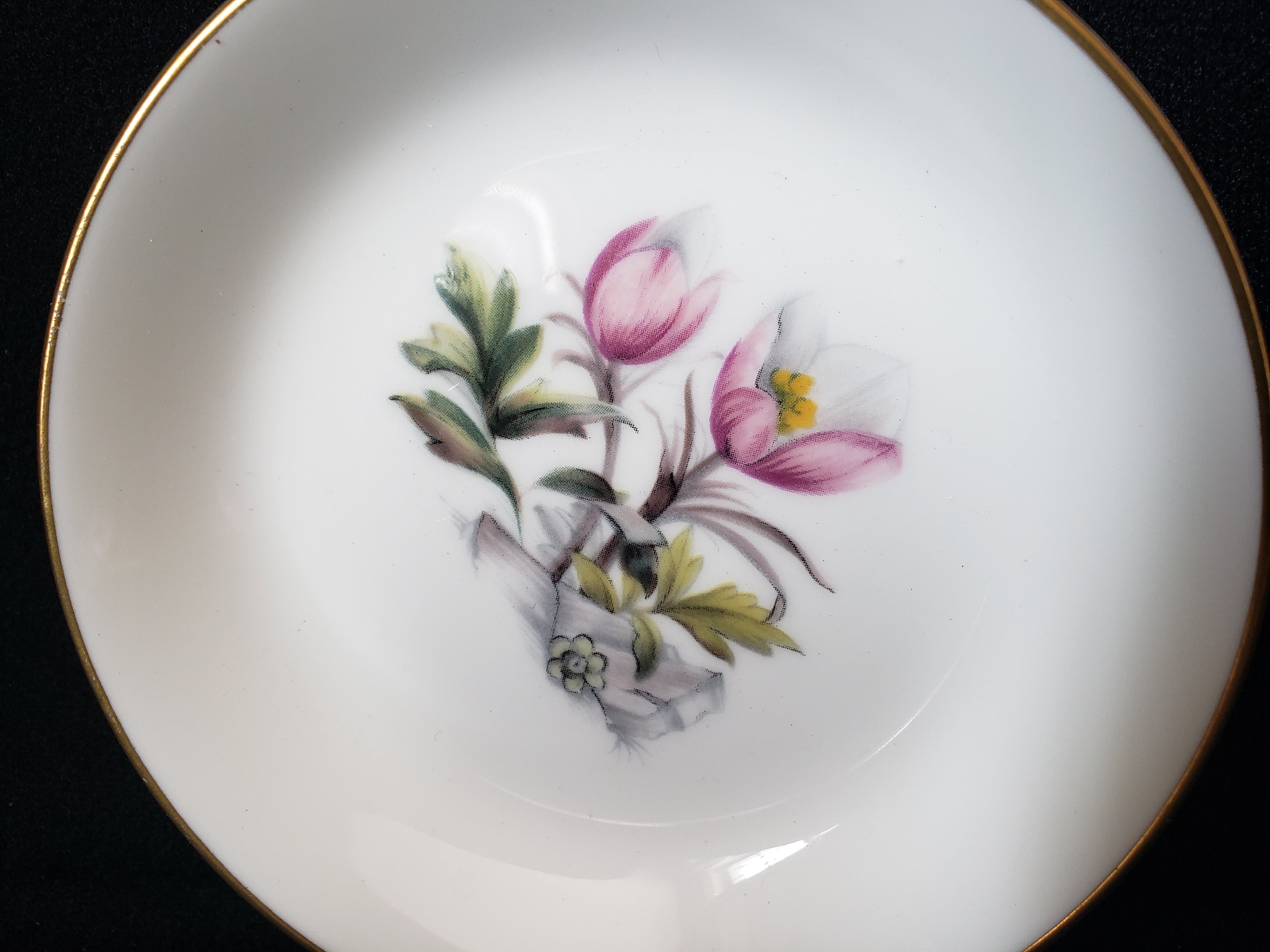 Vintage Royal Worcester Spring Flower Coaster Fine China Small Dish 4" (lot 2067)