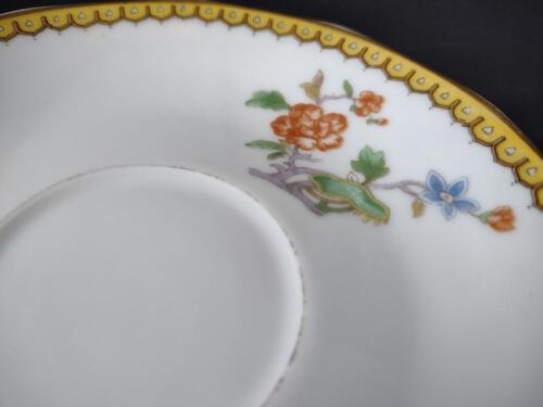 Haviland Limoges Eden 5-3/4" Saucer ONLY Gold Trim Parrot ( lot 778)