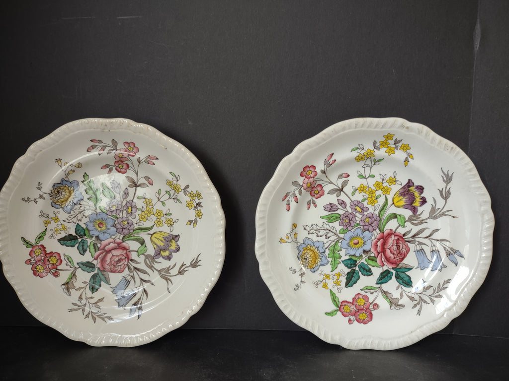 Vintage Spode English Countryside Romney Plate Ironstone x 2 (lot 5778)