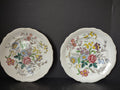 Vintage Spode English Countryside Romney Plate Ironstone x 2 (lot 5778)