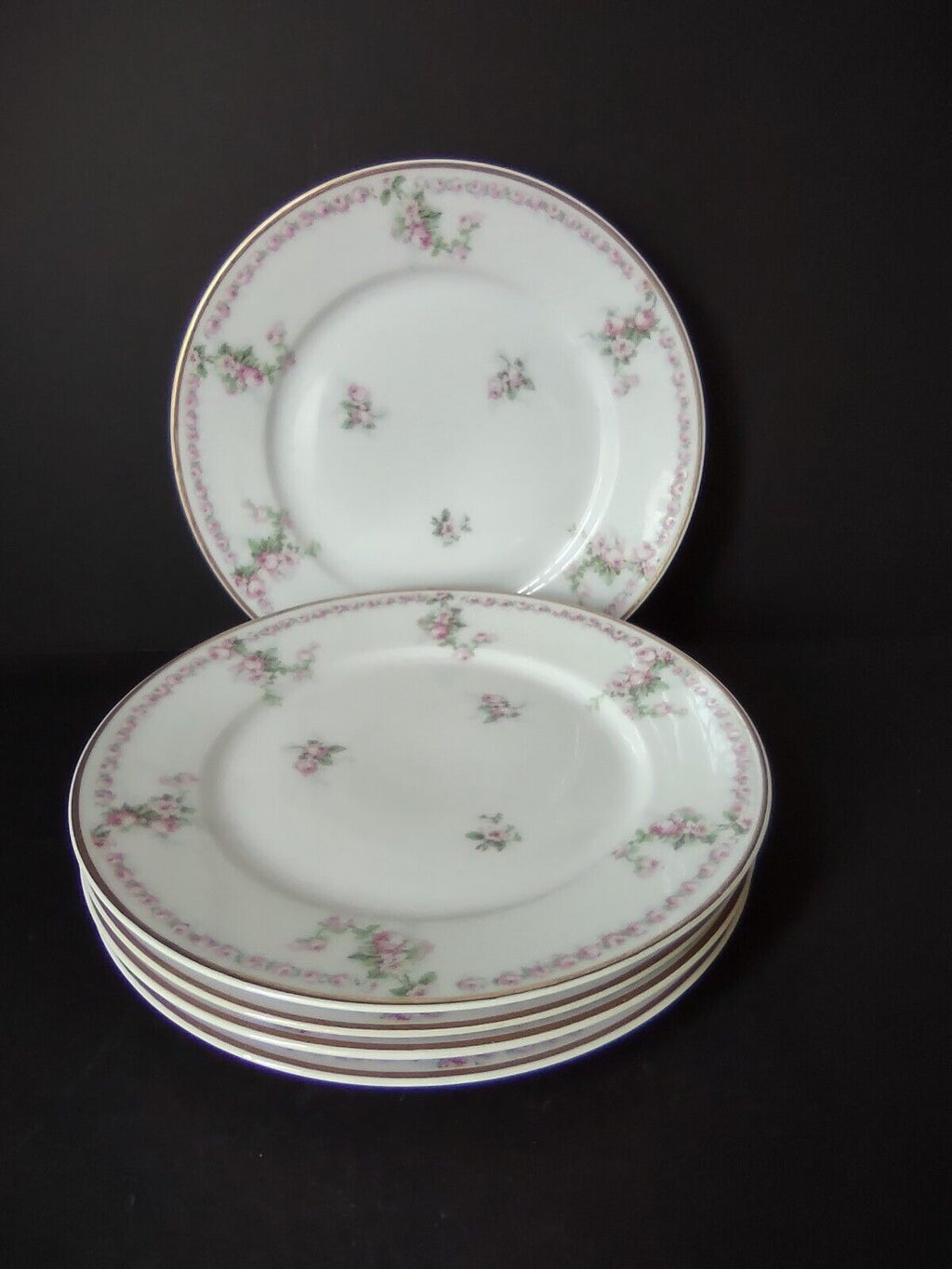 Avenir Limoges France 5 x Salad Plate Rose Garland (lot 559)