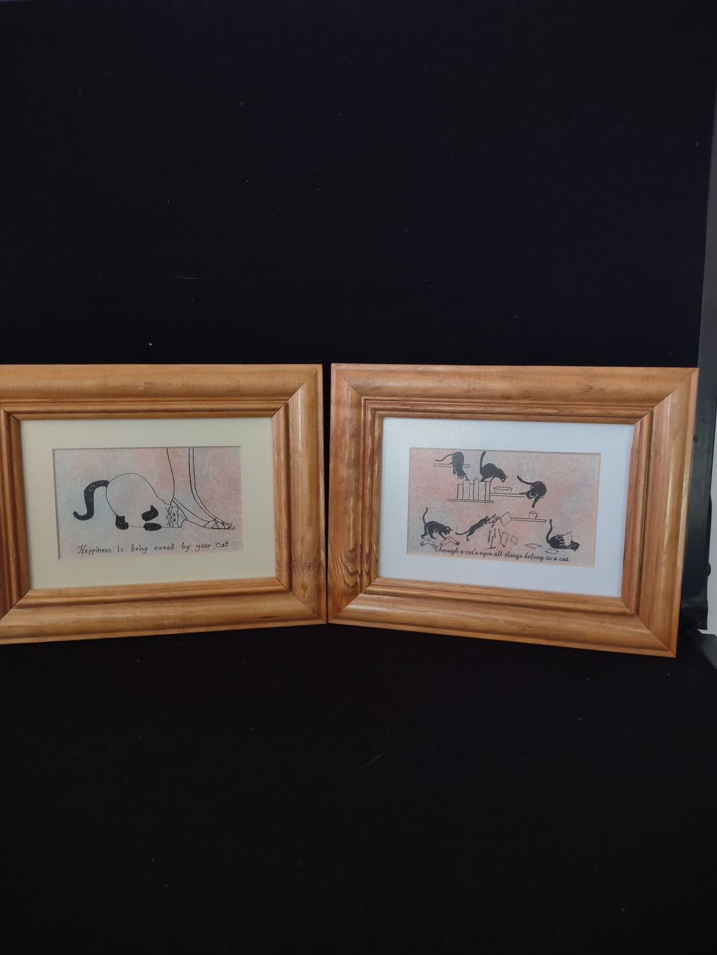 Set 2 Pictures Mimi Whitcomb Studios Cat Wooden Frames (lot 1773)