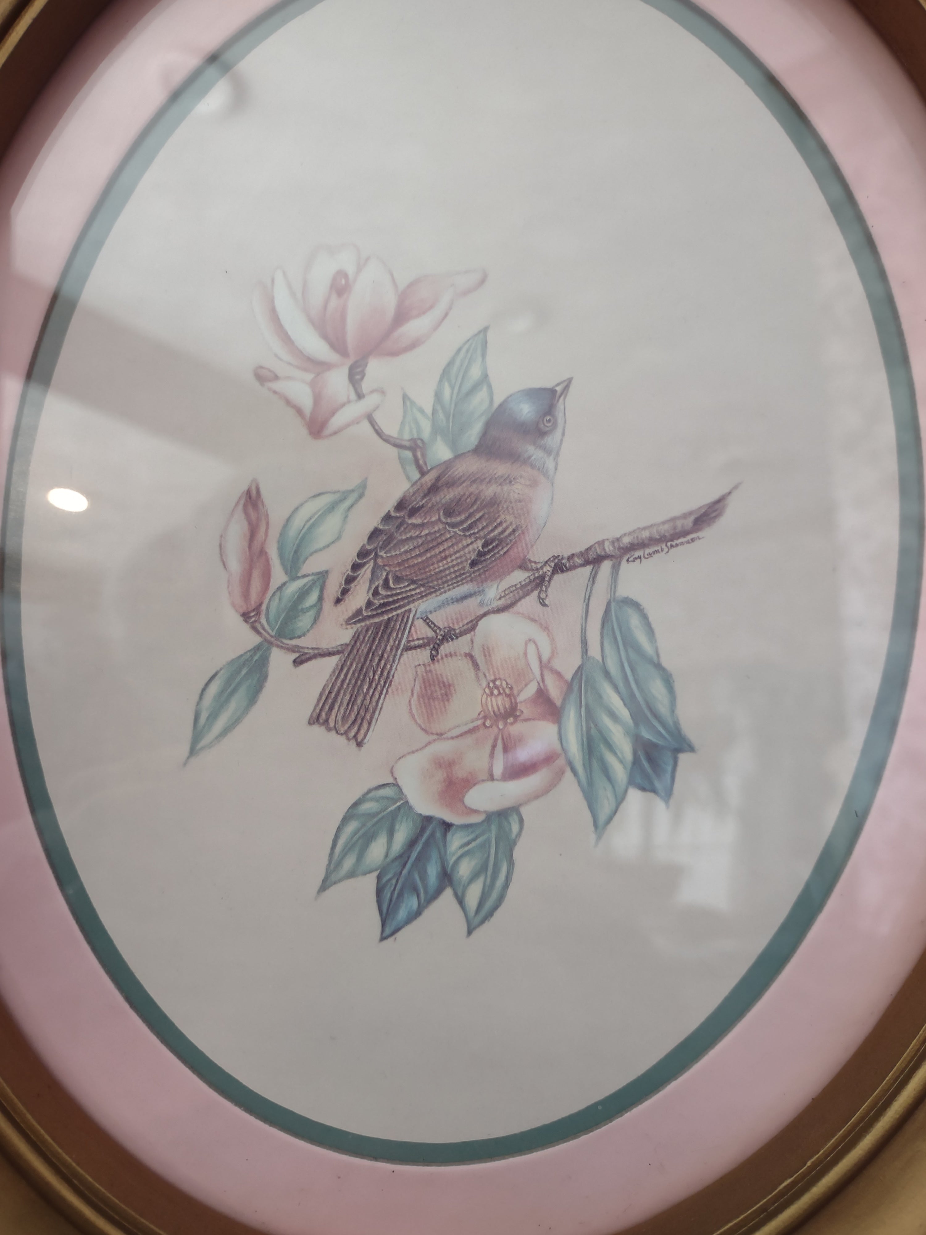 Vintage Homco Home Interiors Oval Bird Print Picture (lot 2581c)
