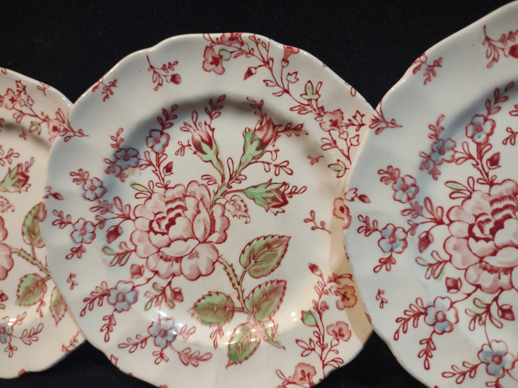 Vintage Dinner Plate x 2 Rose Chintz Johnson Bros Black Stamp (lot 5696)