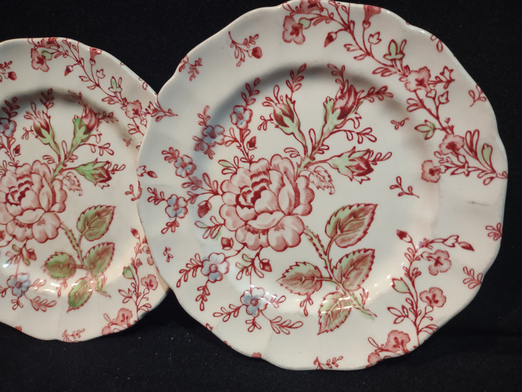 Vintage Dinner Plate x 2 Rose Chintz Johnson Bros Black Stamp (lot 5696)