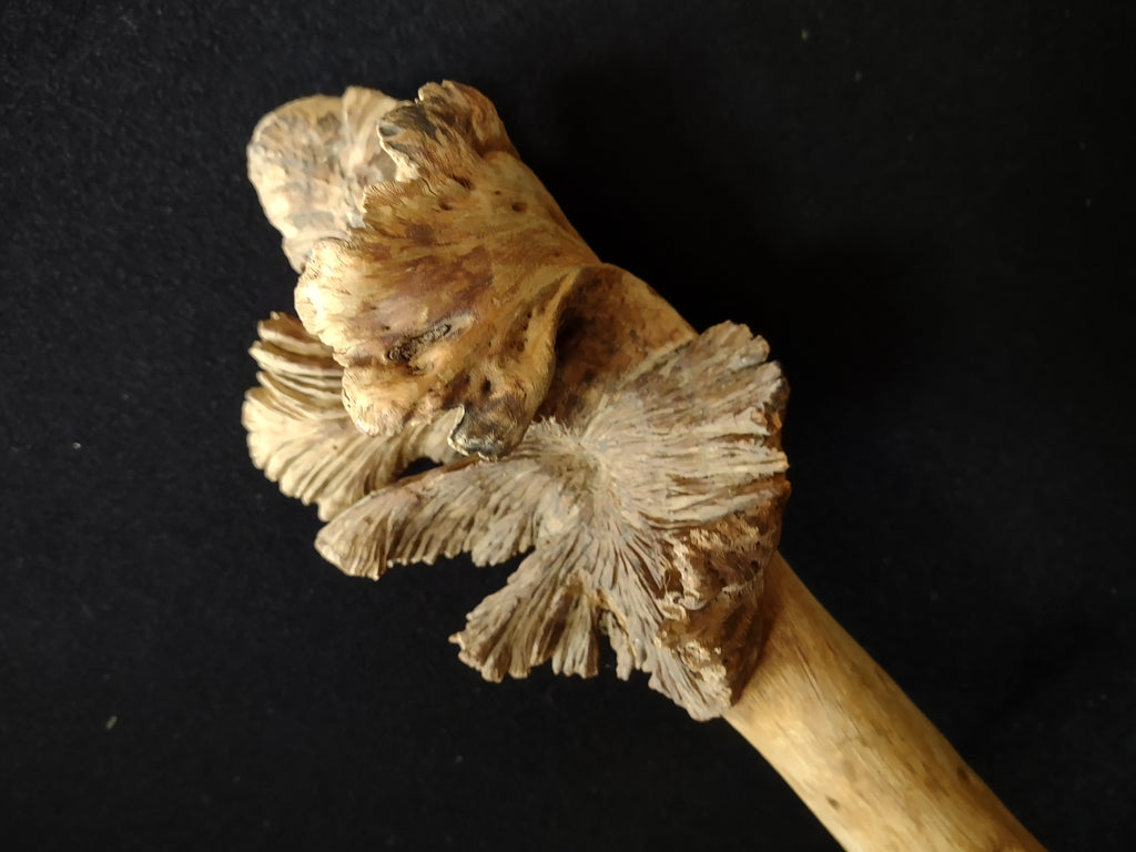 Craft Driftwood about 11" Long (lot 5383)