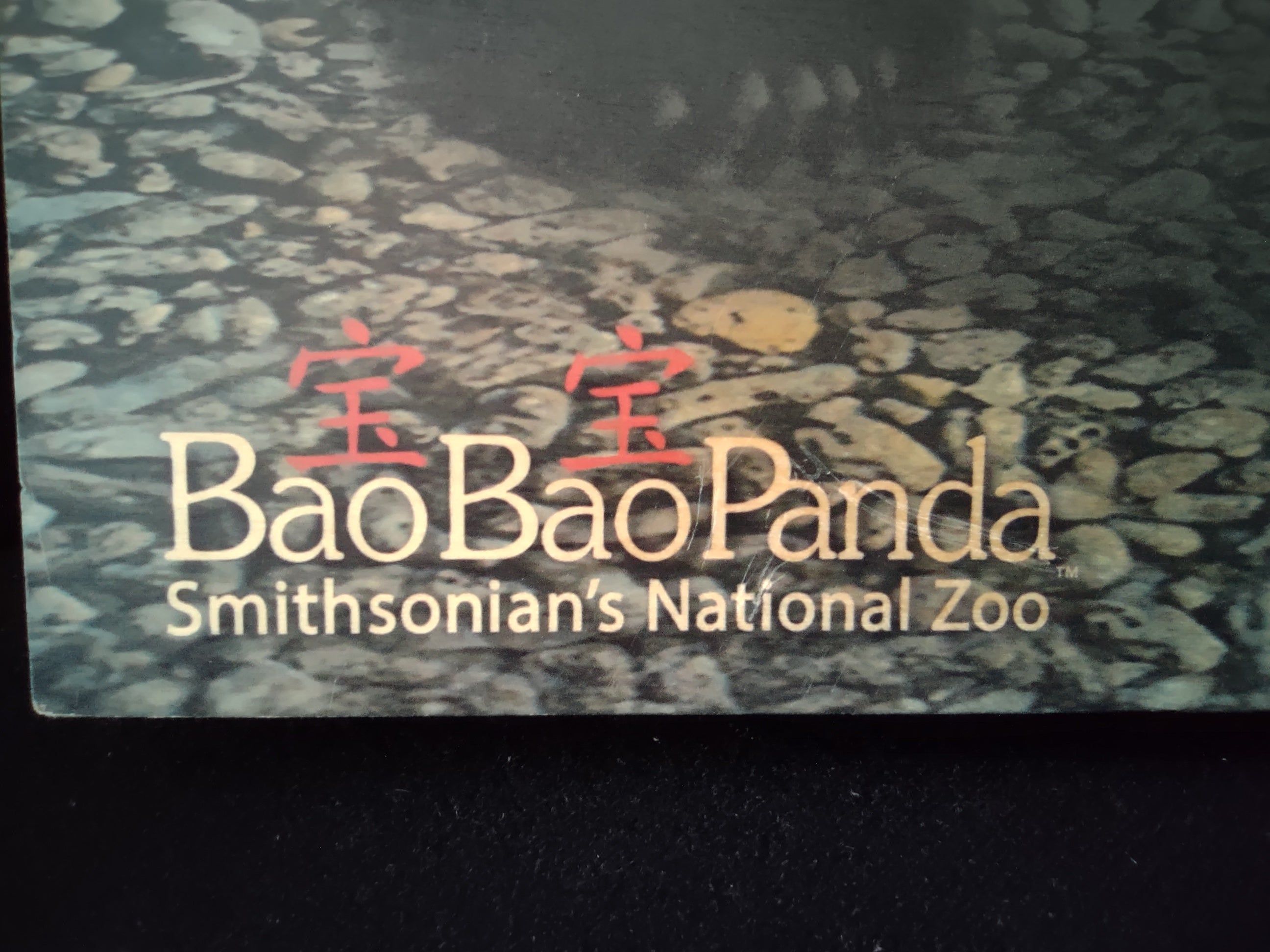 Bao Bao Smithsonian Panda Wooden Picture Portret Walnut Hollow (lot 2772c)