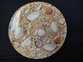 Vintage Acrylic Shell Trivet Handmade with Beach Sand (lot 1697)