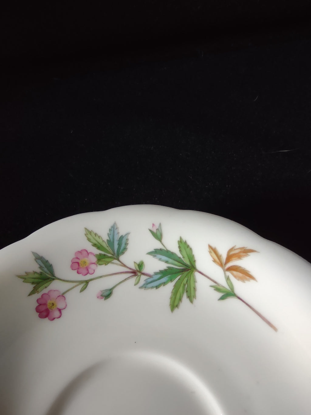 Vintage Minton Meadow Saucer Bone China Floral Scalloped (Lot 5509)