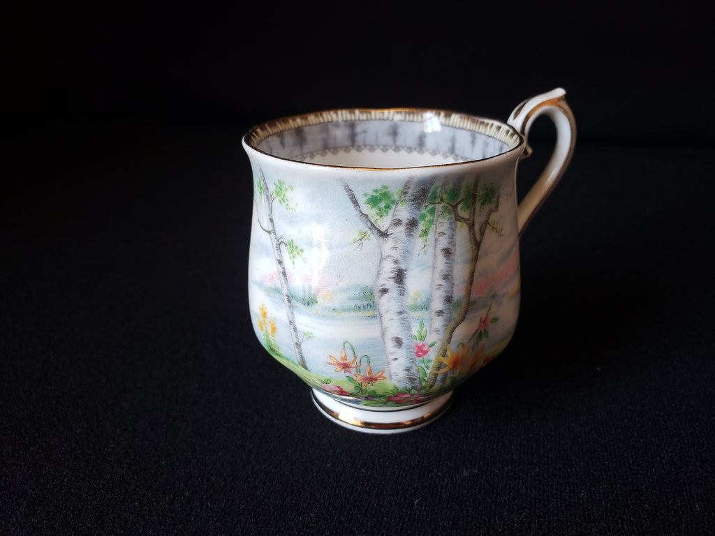 Vintage Royal Albert Silver Birch Demitasse Cup ONLY (lot 2030)