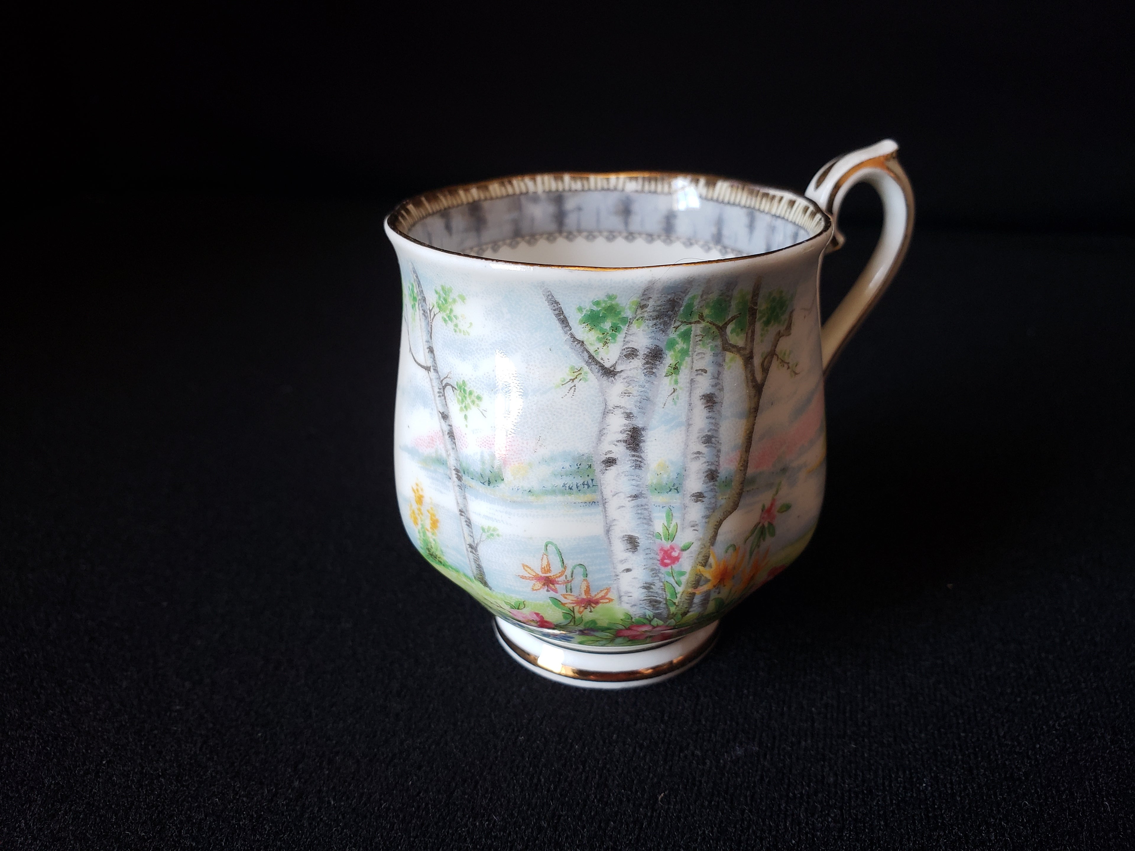 Vintage Royal Albert Silver Birch Demitasse Cup ONLY (lot 2030)