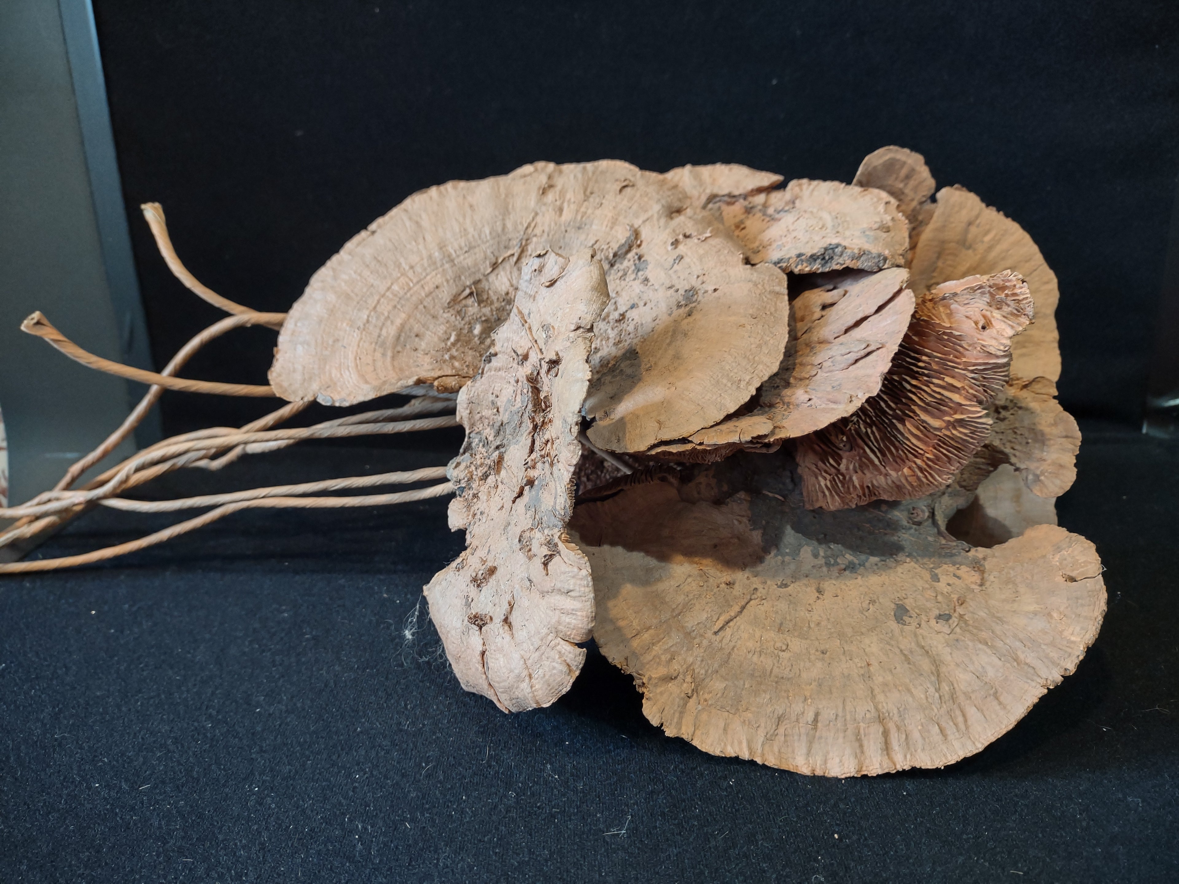 Vintage Craft Dried Mushroom Vase Composition 9 Twigs (lot 5382)