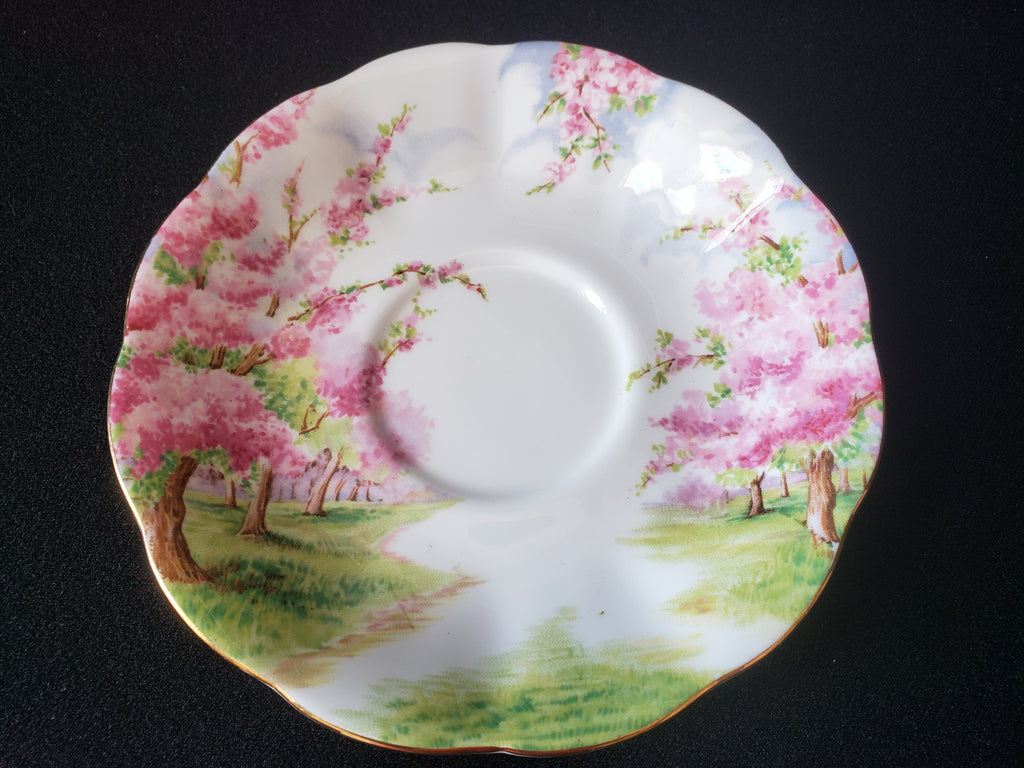 Vintage Royal Albert Bone China Blossom Time Saucer ONLY (lot 2021)