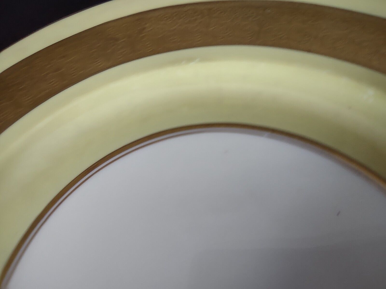Haviland USA Heavy Ornate Gold Trim Yellow Dinner Charger Plate 10-7/8" (lot 721