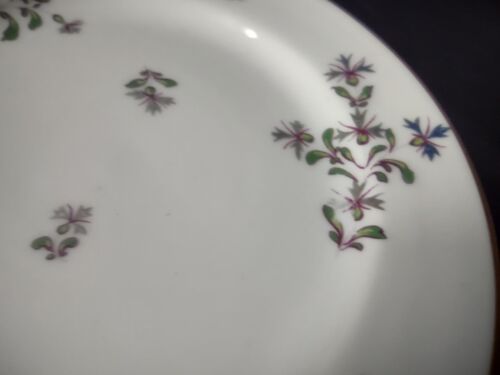 lot 762 Haviland Limoges 5 x Bread Butter Plate Blue Flowers