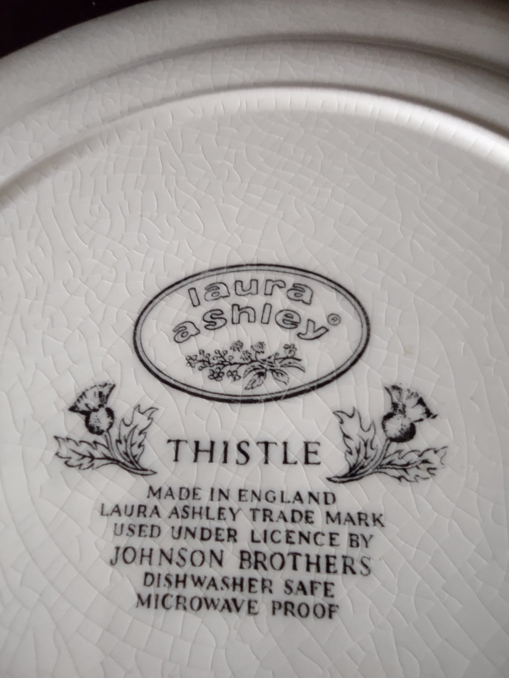 Vintage Laura Ashley Johnson Brothers 10" Dinner Plate Thistle (Lot 5566)