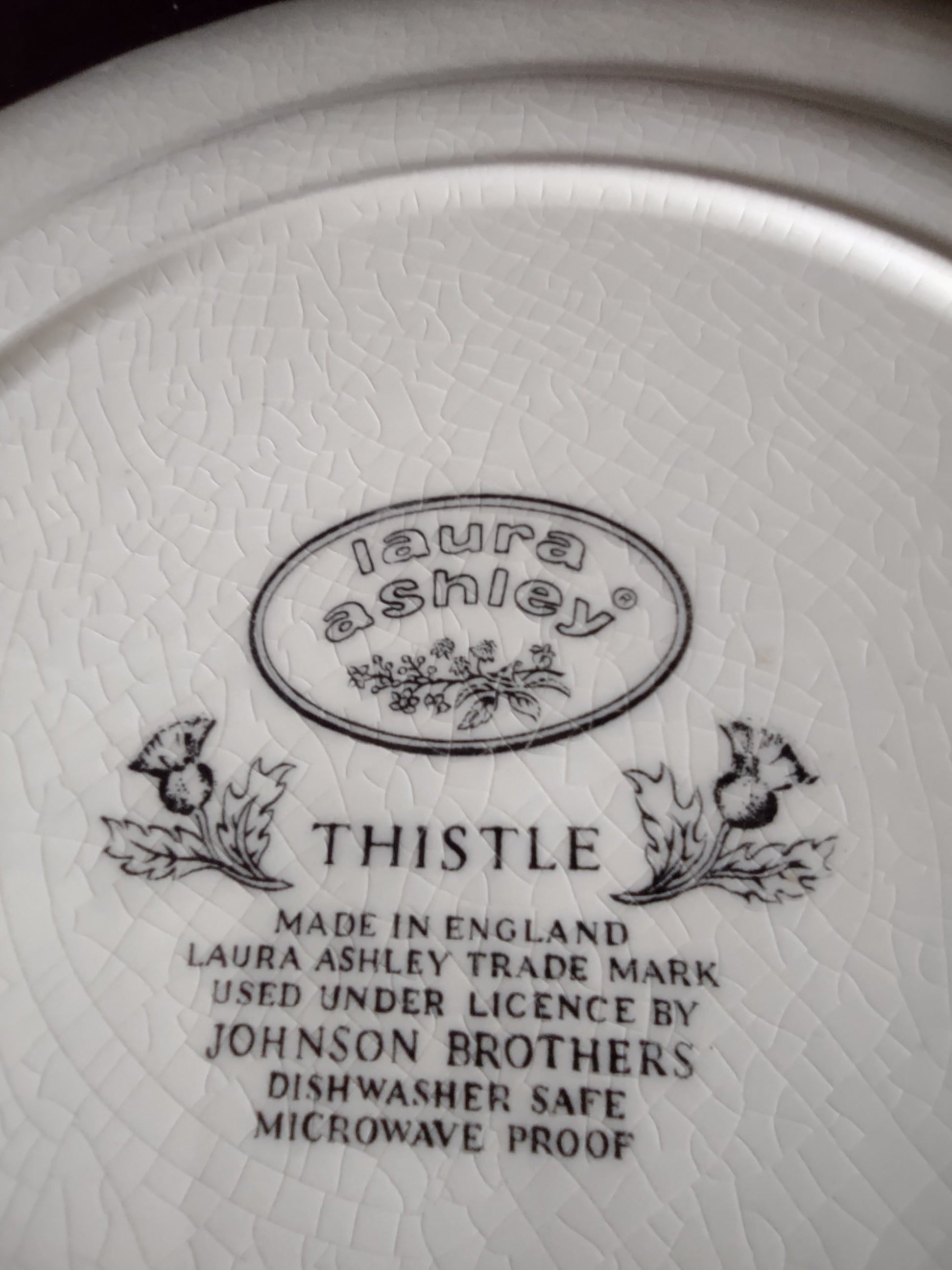 Vintage Laura Ashley Johnson Brothers 10" Dinner Plate Thistle (Lot 5566)