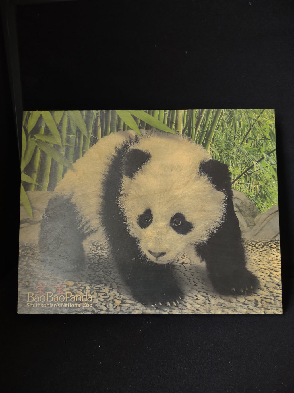 Bao Bao Smithsonian Panda Wooden Picture Portret Walnut Hollow (lot 2772c)