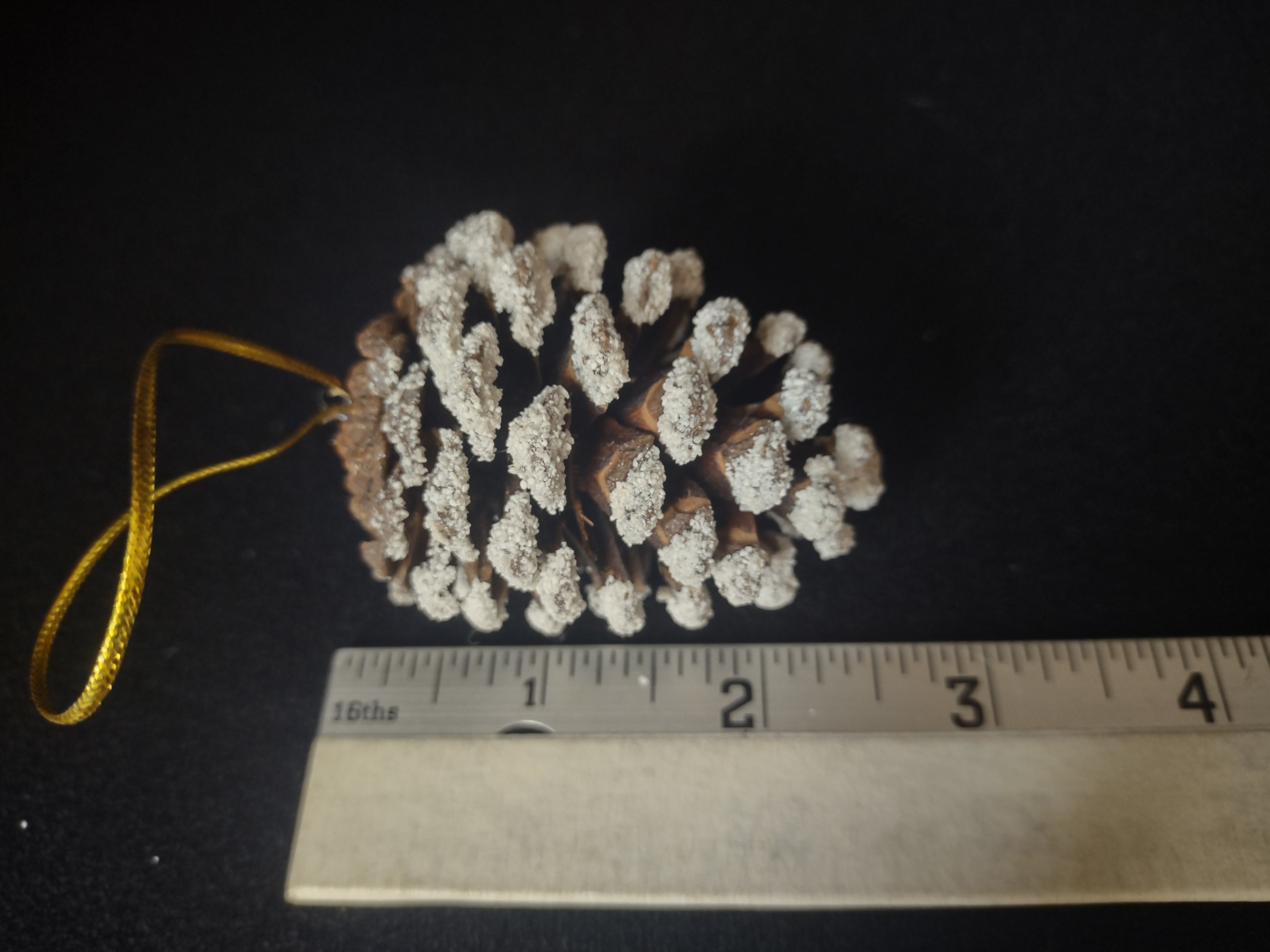 Lot of 12 Pine Cones Christmas Tree Ornament (lot 1683)
