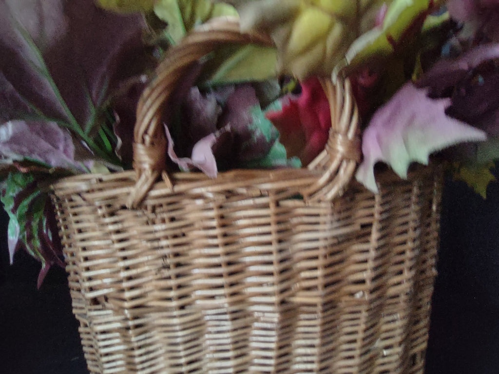 Vintage Wall Door One Handle Hanging Basket Fall Farmhouse Green Purple Maple