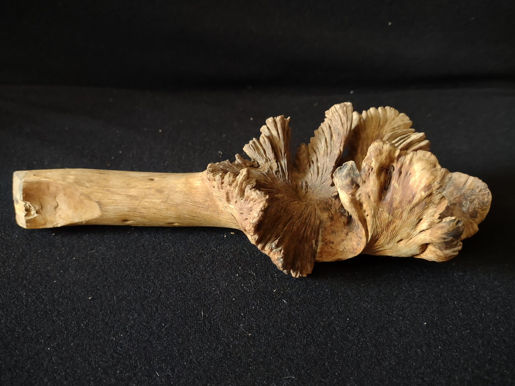 Craft Driftwood about 11" Long (lot 5383)