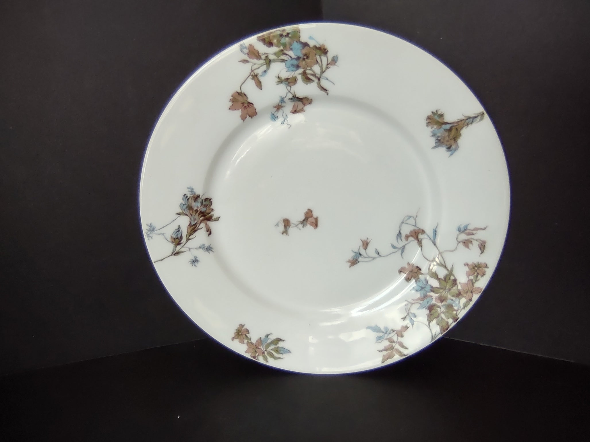 Depose Haviland Limoges Pink Brown Cornflower Luncheon /Salad Plate (lot 968)