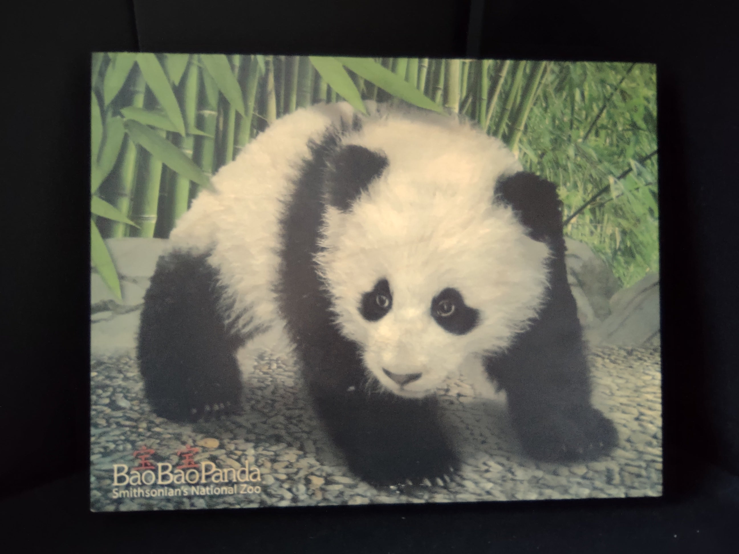 Bao Bao Smithsonian Panda Wooden Picture Portret Walnut Hollow (lot 2772c)