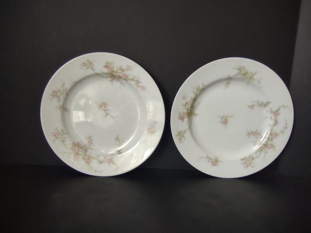 Haviland Limoges 2 x Bread Butter Plate Rose White Purple Flower Moss (lot 898)