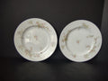 Haviland Limoges 2 x Bread Butter Plate Rose White Purple Flower Moss (lot 898)