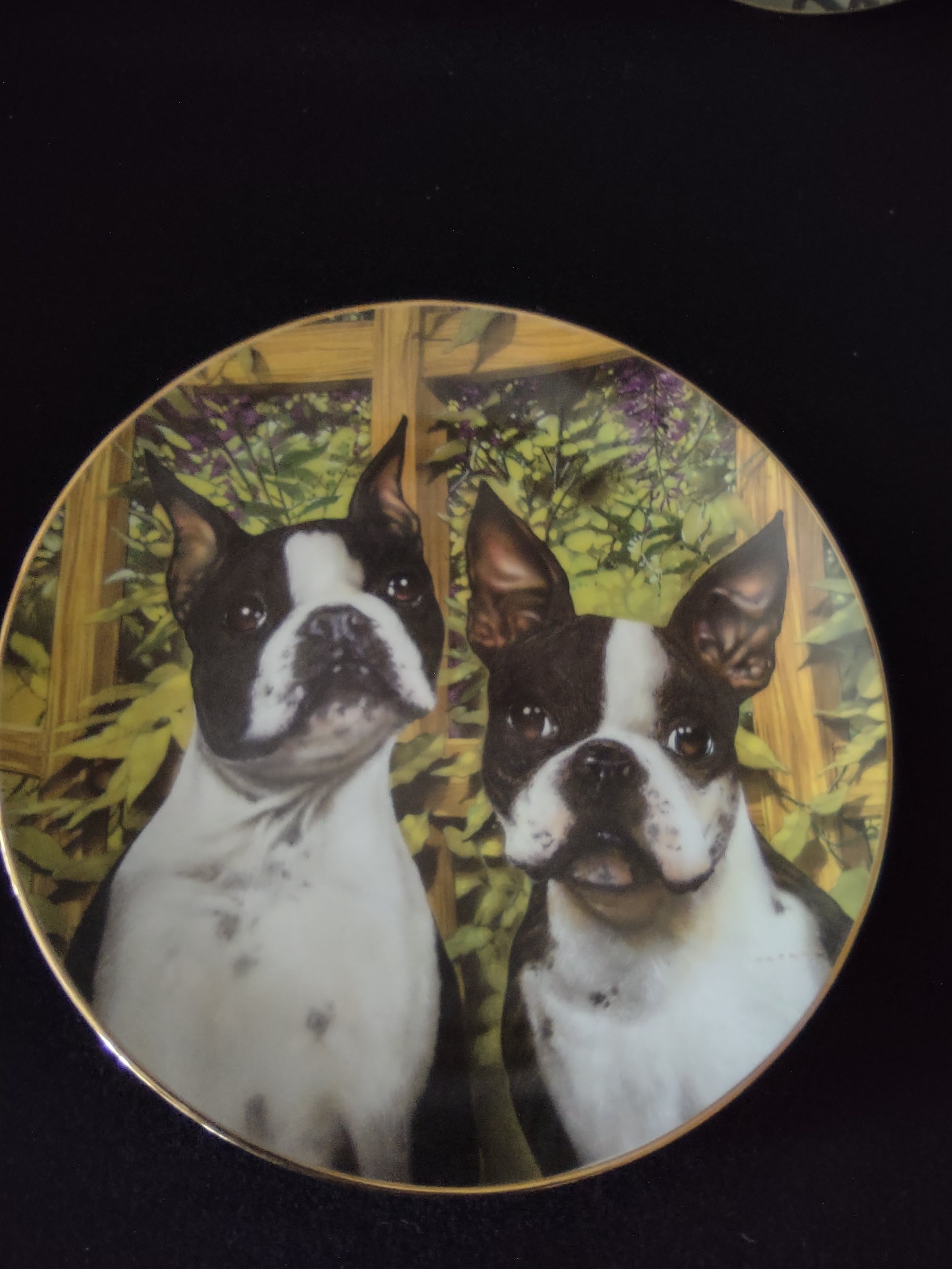 Vintage Danbury Mint Collectible Boston Terrier Dan Hatala Set Of 3 (Lot 4009)