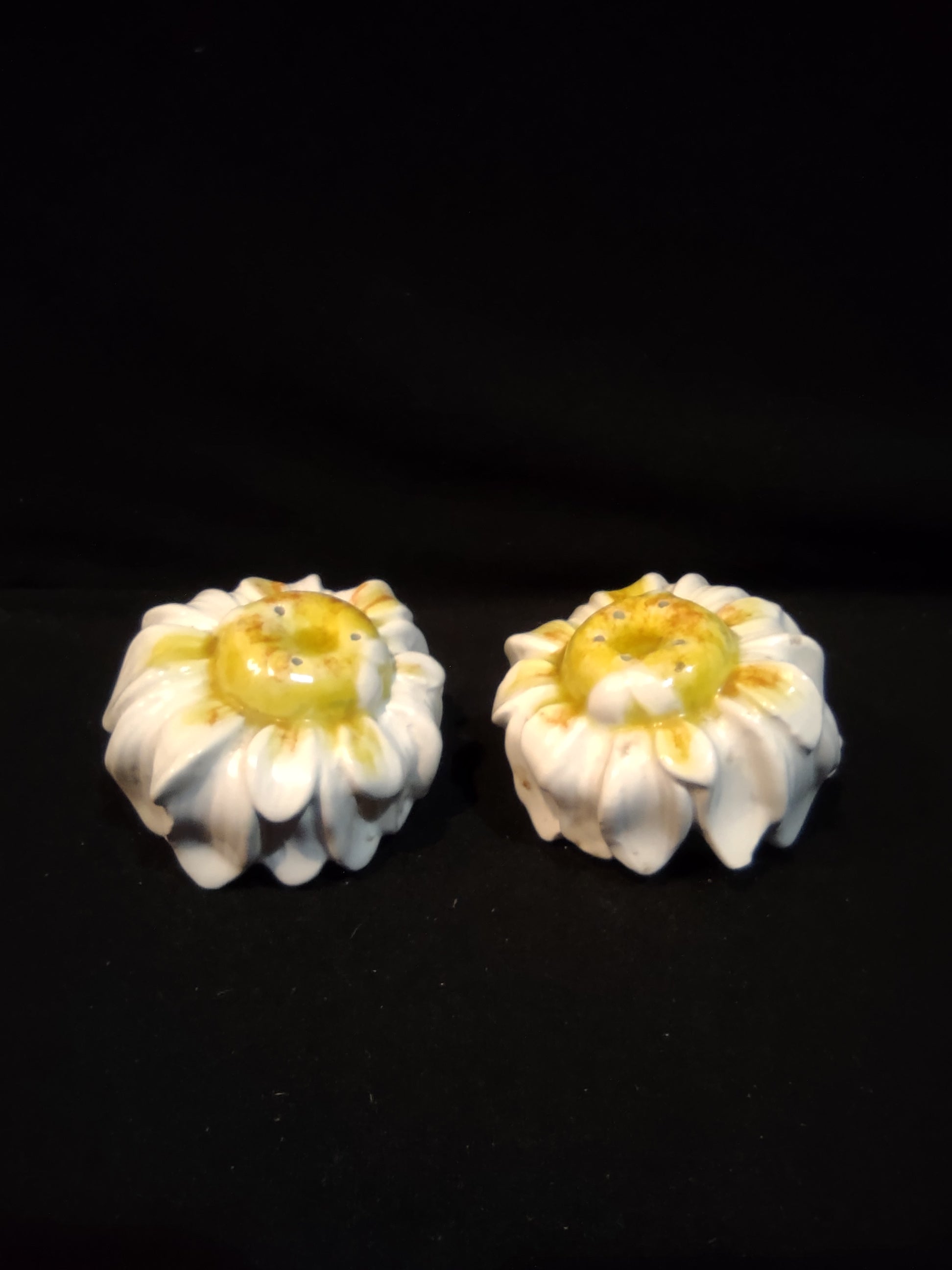 Vintage Salt and Pepper Shaker Ceramic Daisy Made in Italy (lot 5376)