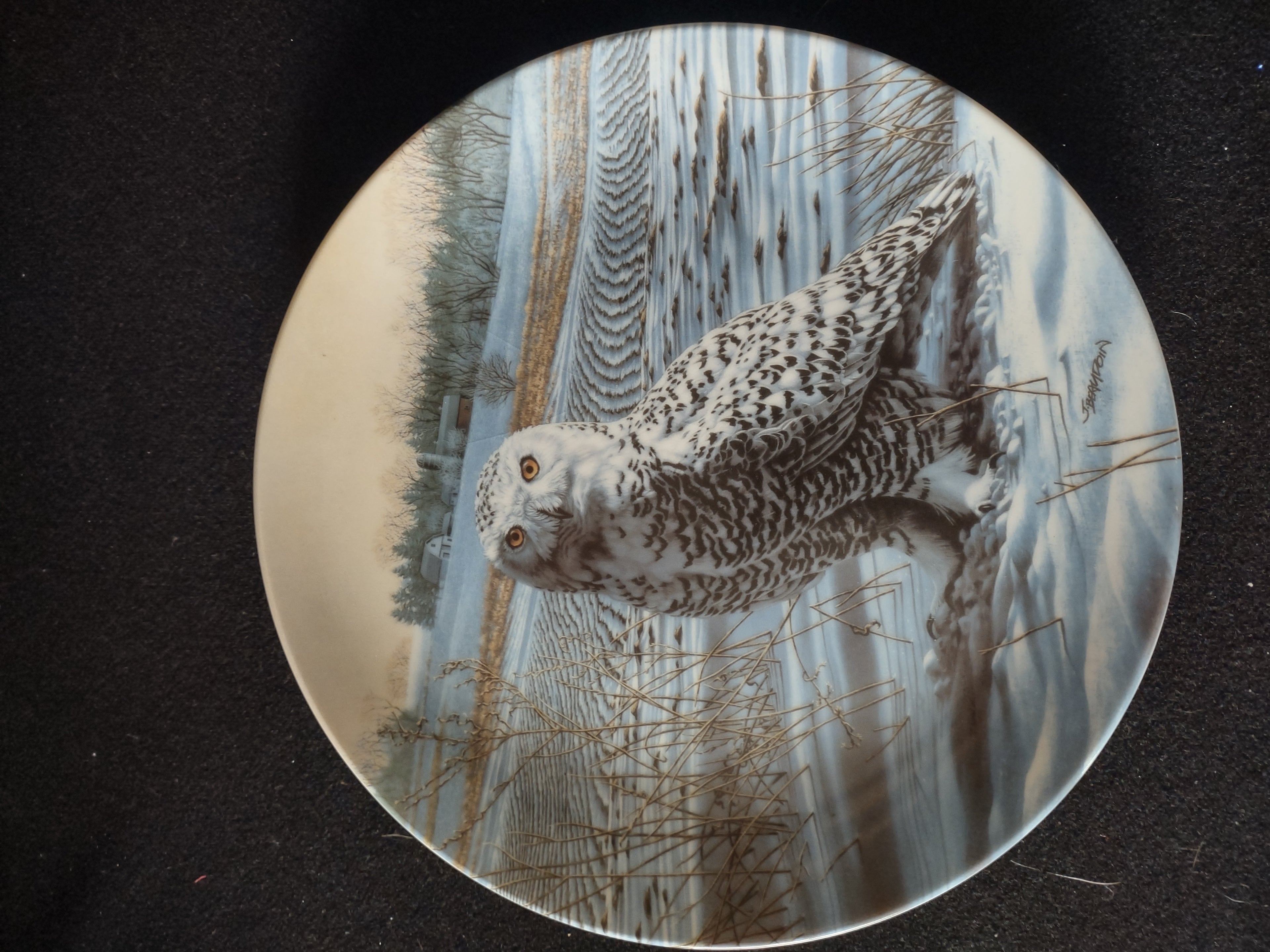 Vintage Knowles Collector Plate 1st Issue The Snowy Owl Stately Owls (Lot 5113)