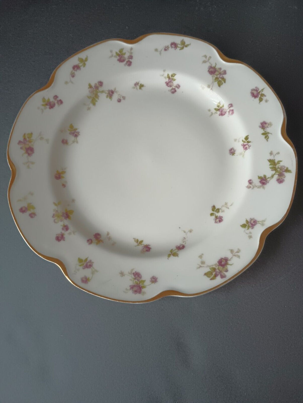Haviland Limoges Set of 2 Plate Dinner 9-3/4" Gold Trim Roses (lot 382)