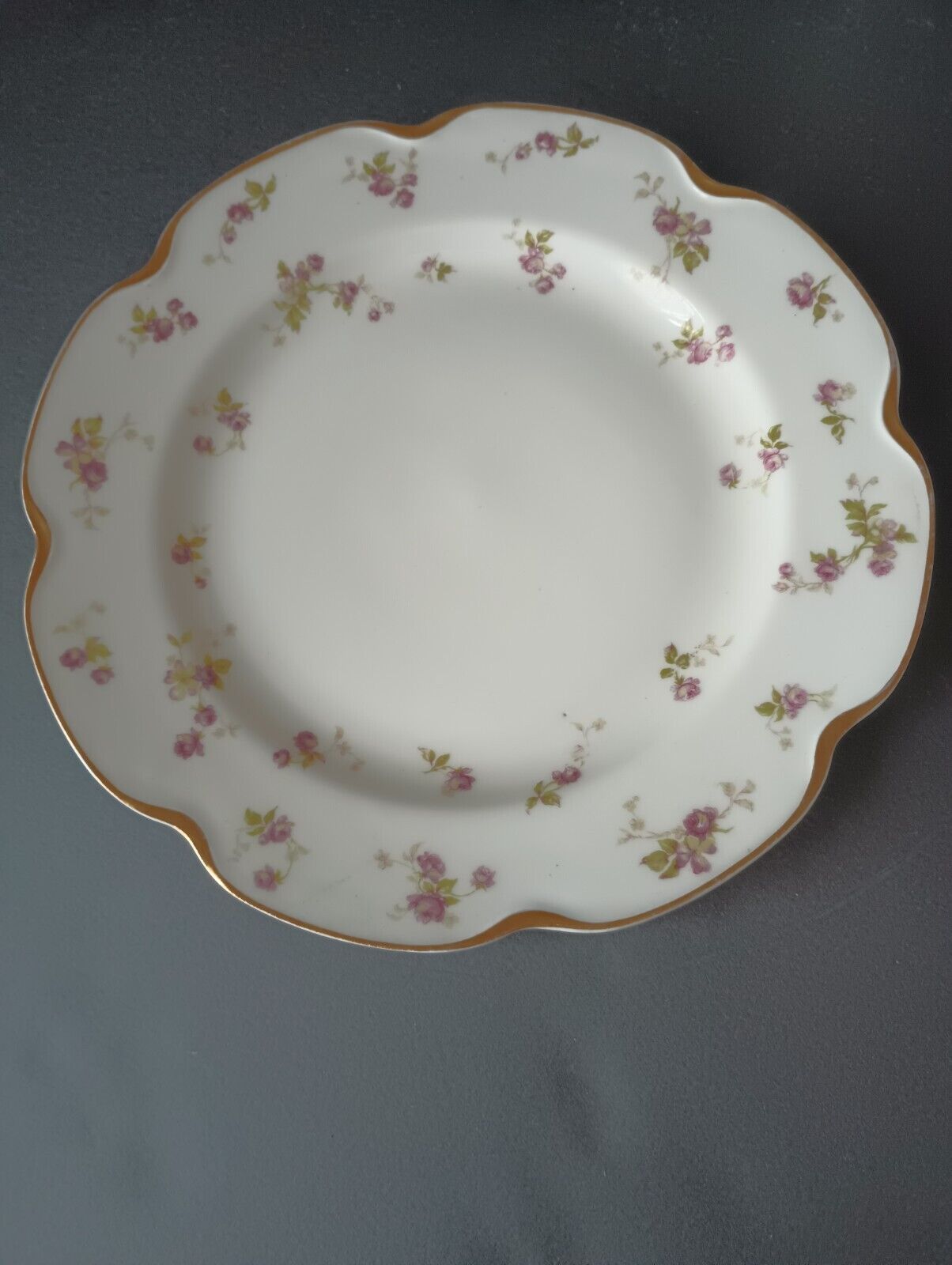 Haviland Limoges Set of 2 Plate Dinner 9-3/4" Gold Trim Roses (lot 382)