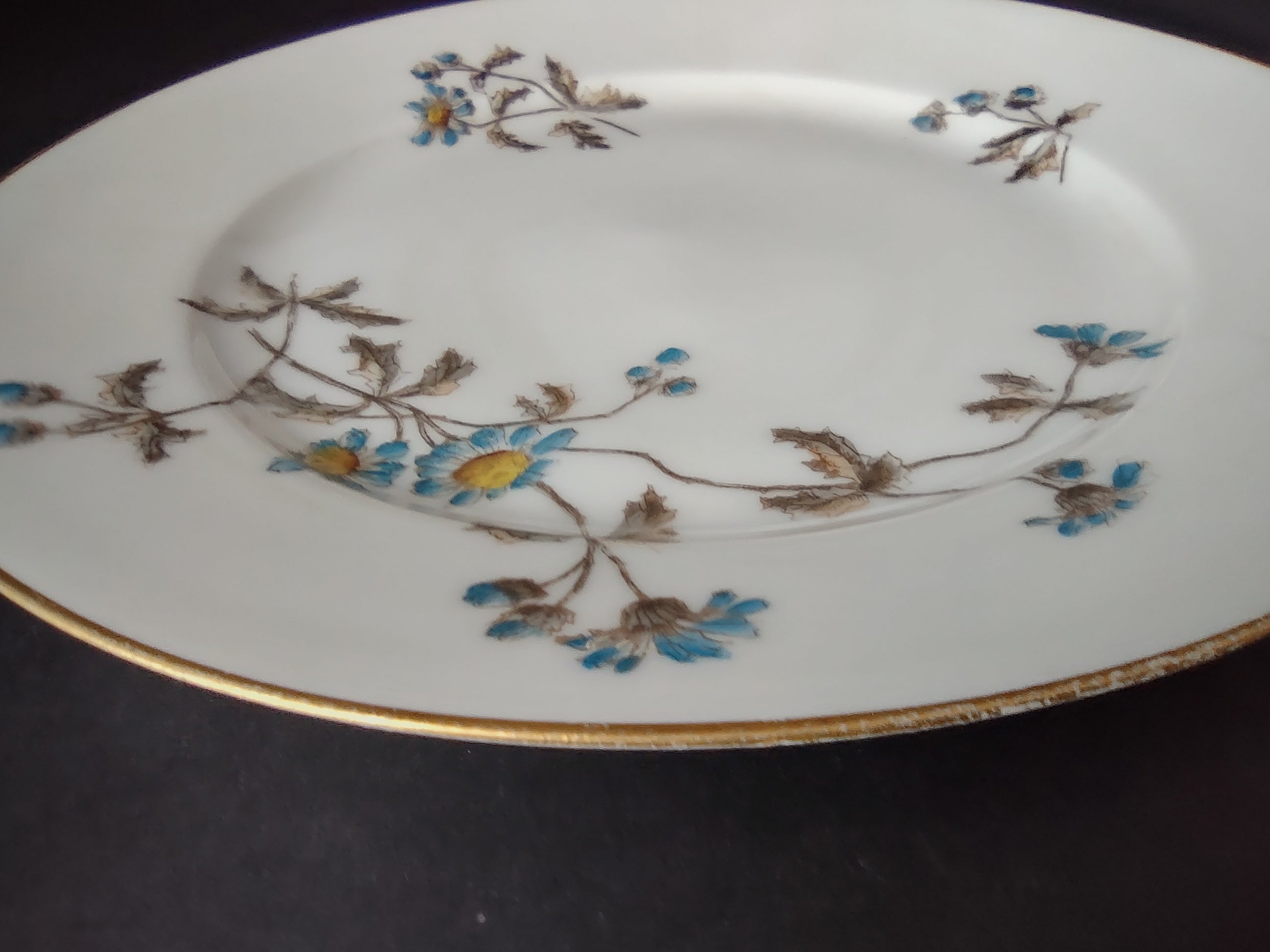 CFH GDA Haviland Limoges Luncheon/Salad Plate Blue Daisy Rustic Cottage (lot 982