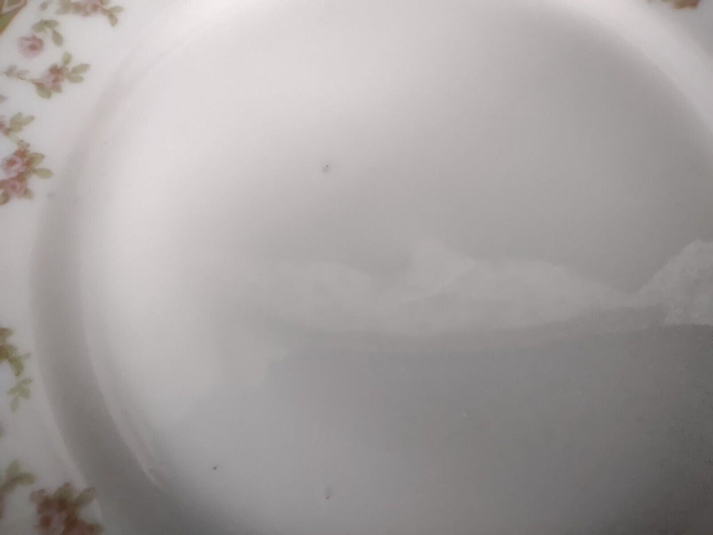Haviland Limoges Schleiger 346 Red Rose 2 x Bread Butter Plate 6-1/4" (lot 546)