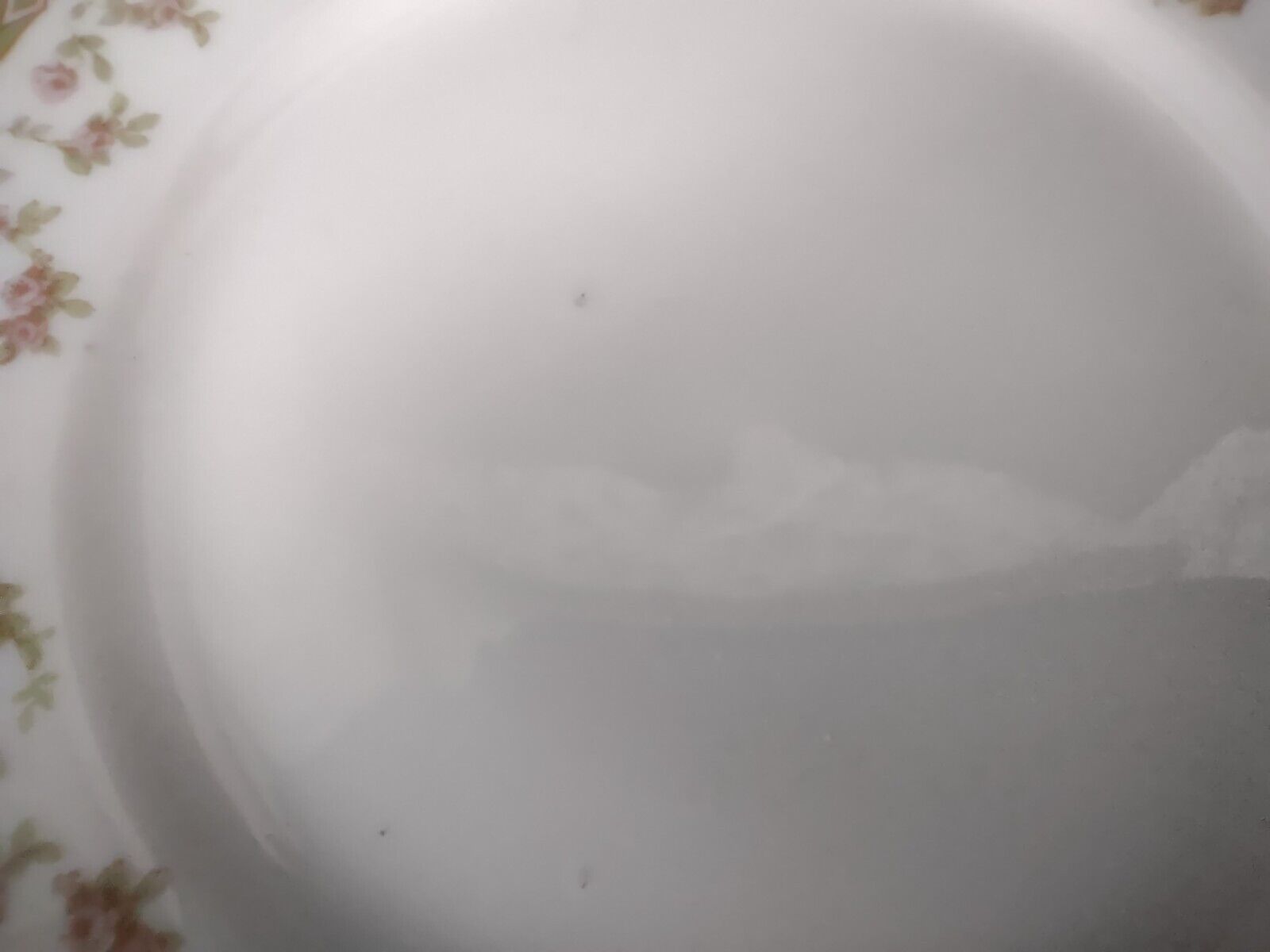 Haviland Limoges Schleiger 346 Red Rose 2 x Bread Butter Plate 6-1/4" (lot 546)