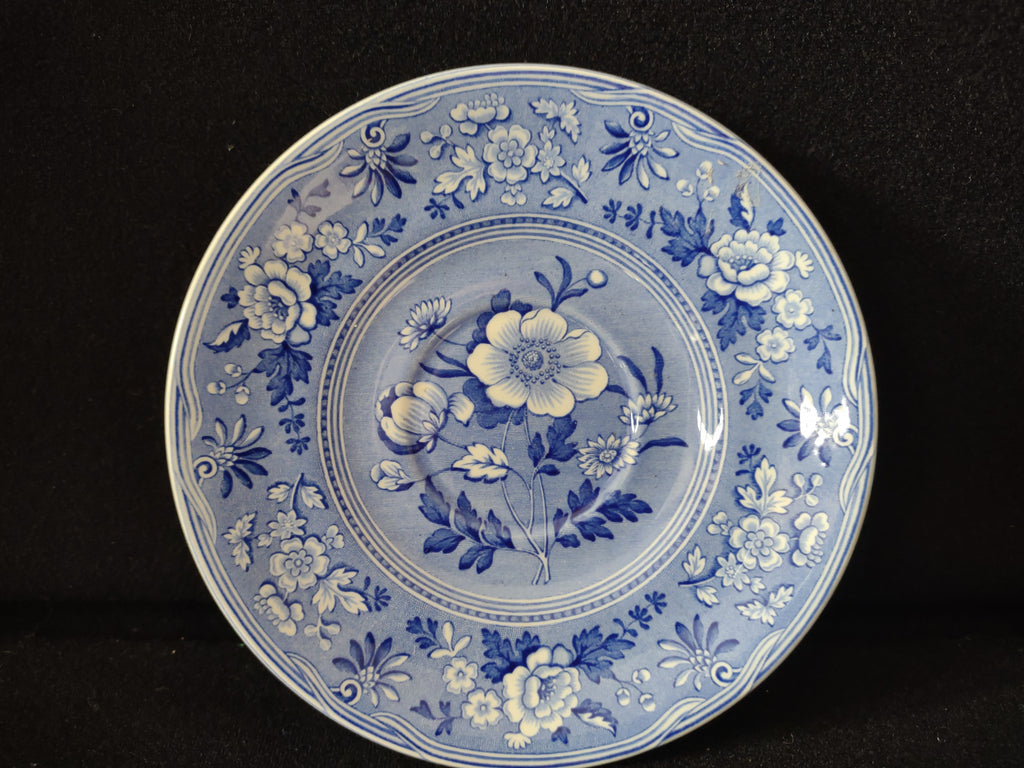 Spode Blue & White Room Saucer Botanical Vintage English Transferware (lot 5845)