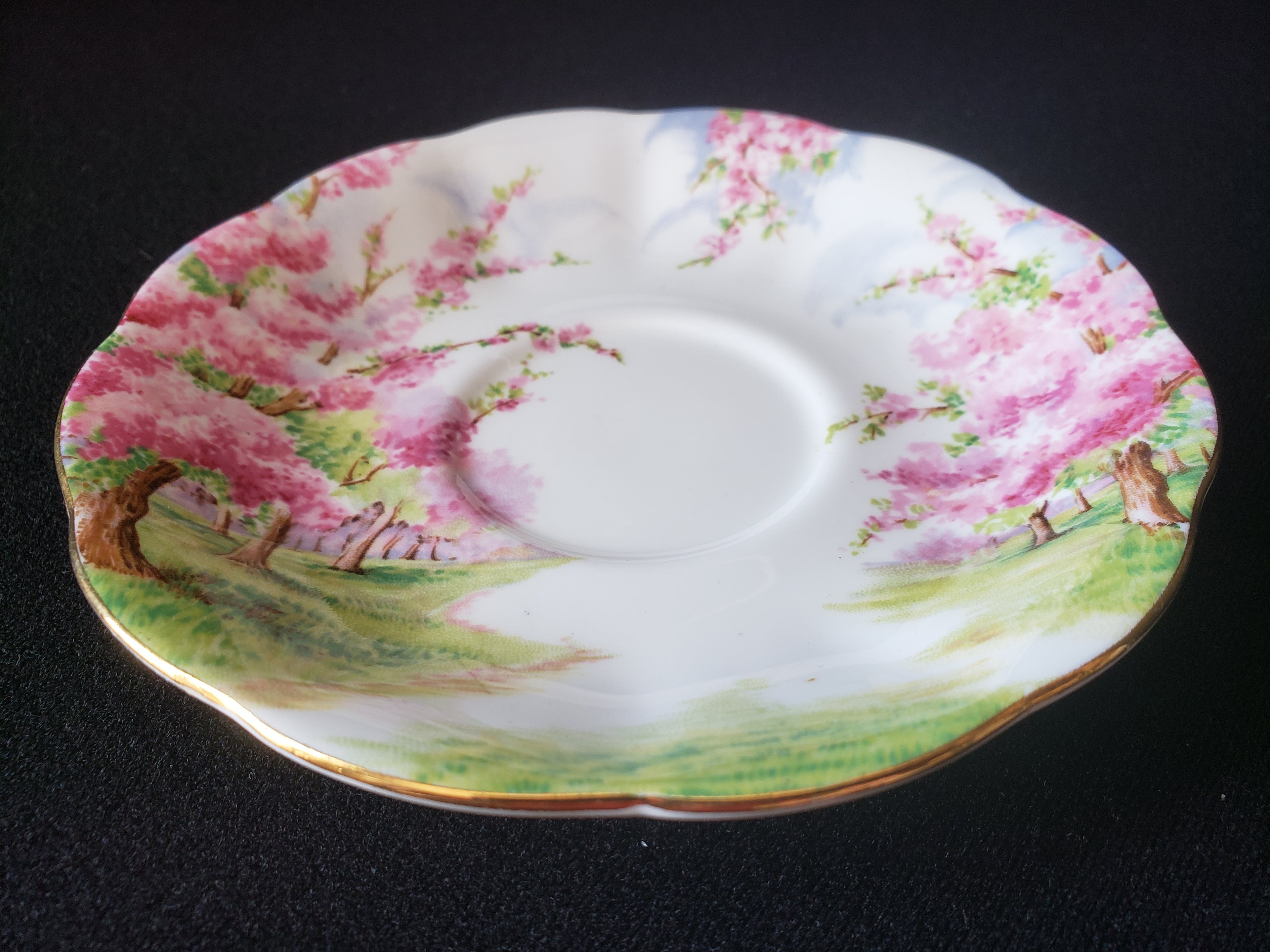 Vintage Royal Albert Bone China Blossom Time Saucer ONLY (lot 2021)