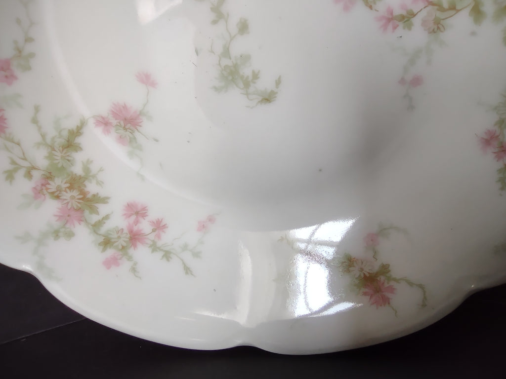 Haviland Limoges Cream Soup Plate Pink Thistle & Daisy (lot 883)