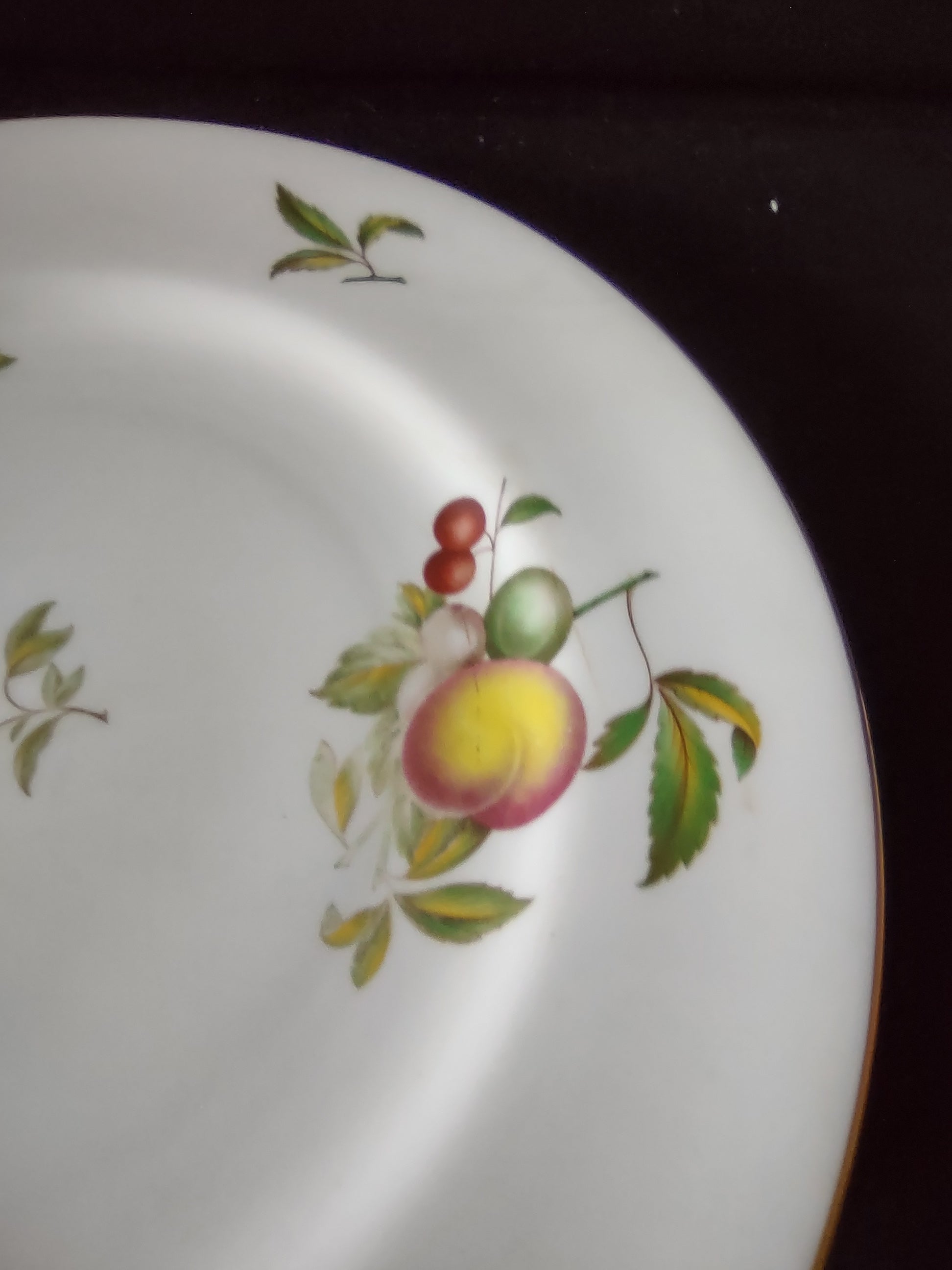 Vintage Spode Dinner Plate Blenheim Bone China Gold Trim Reproduction (Lot 5721)