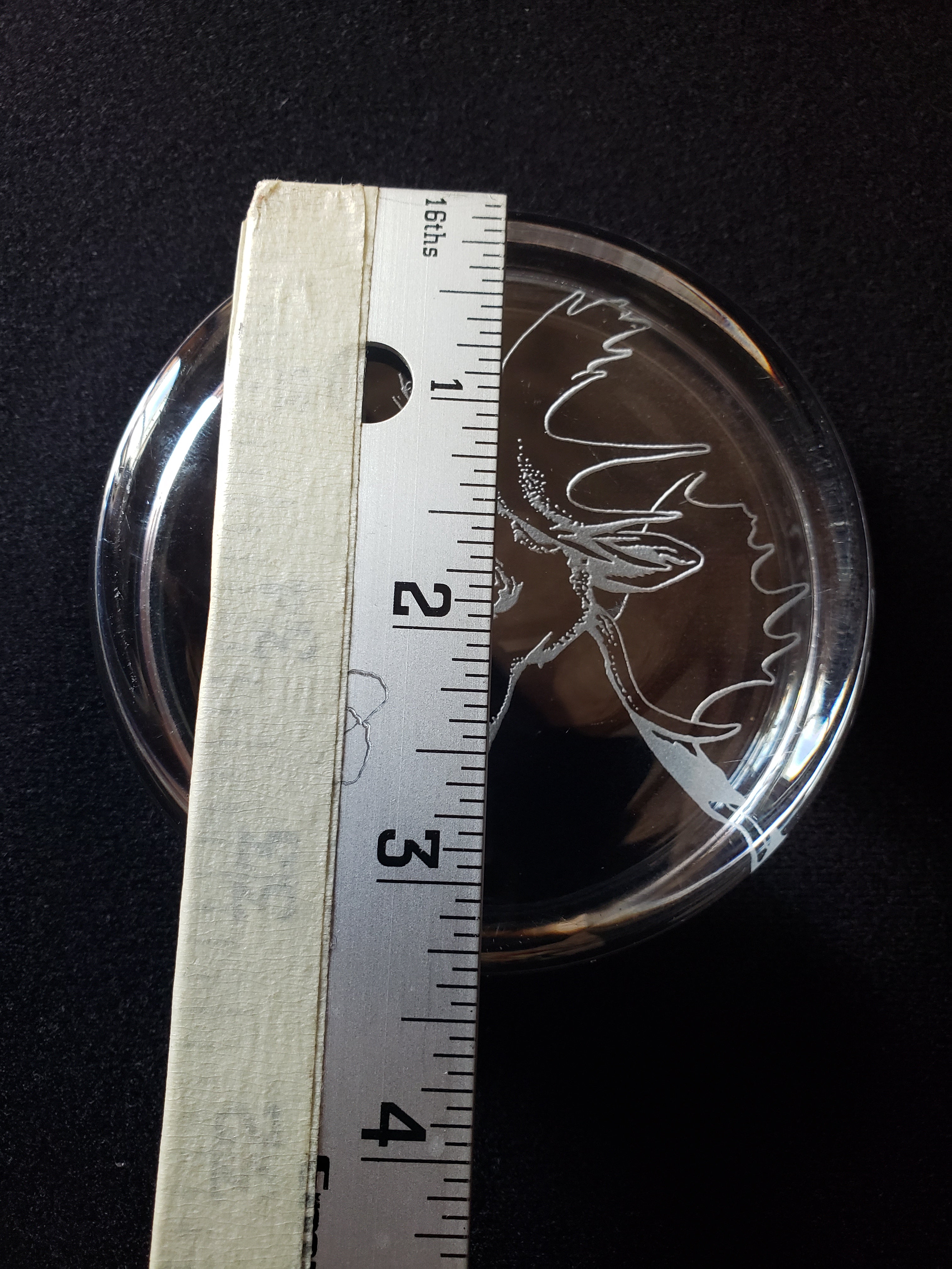 Moose Coaster Paper Weight Glass 3-3/8" (lot 2221)